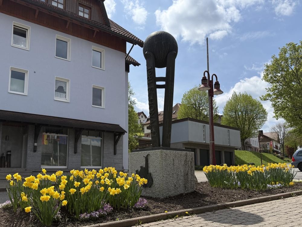 Blumenfeld in Schonach