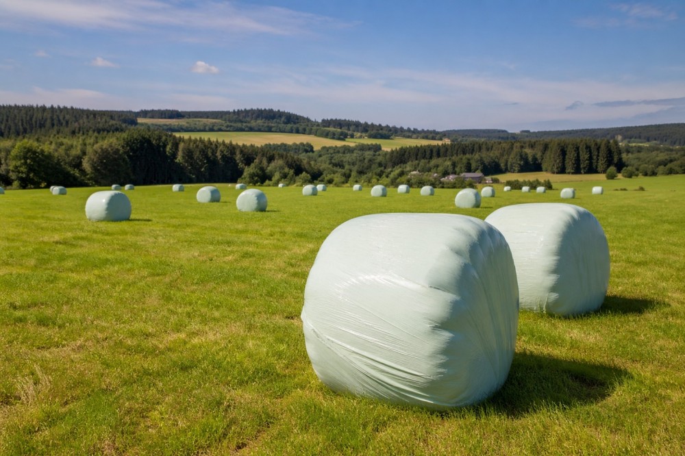 Siloballen auf einer Wiese