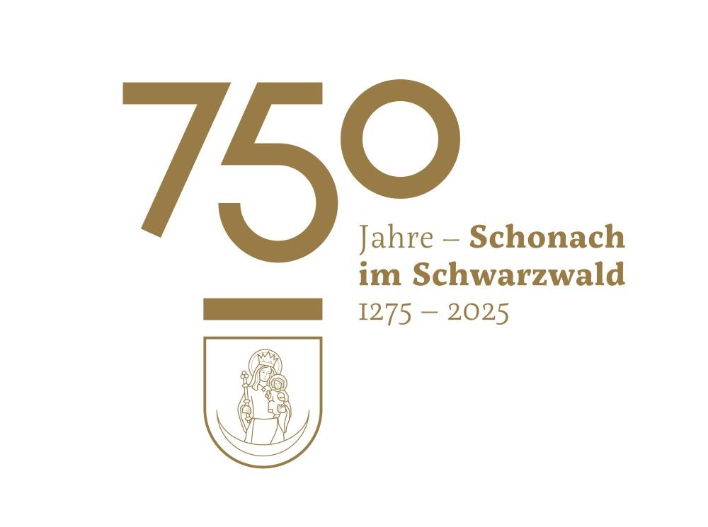 Schneebericht Schonach